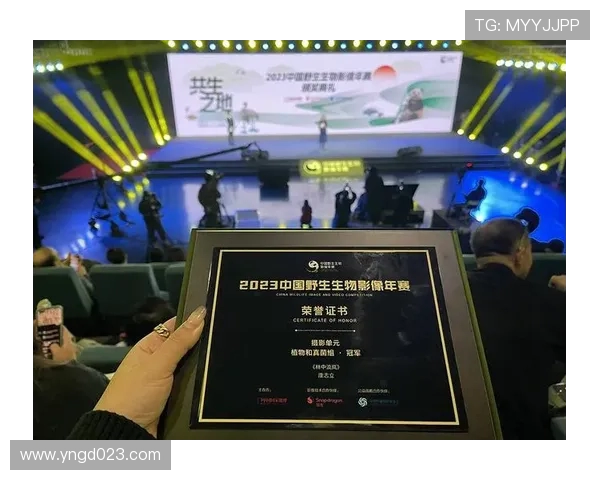 中国赛不只是热闹：市场深耕下的多维价值